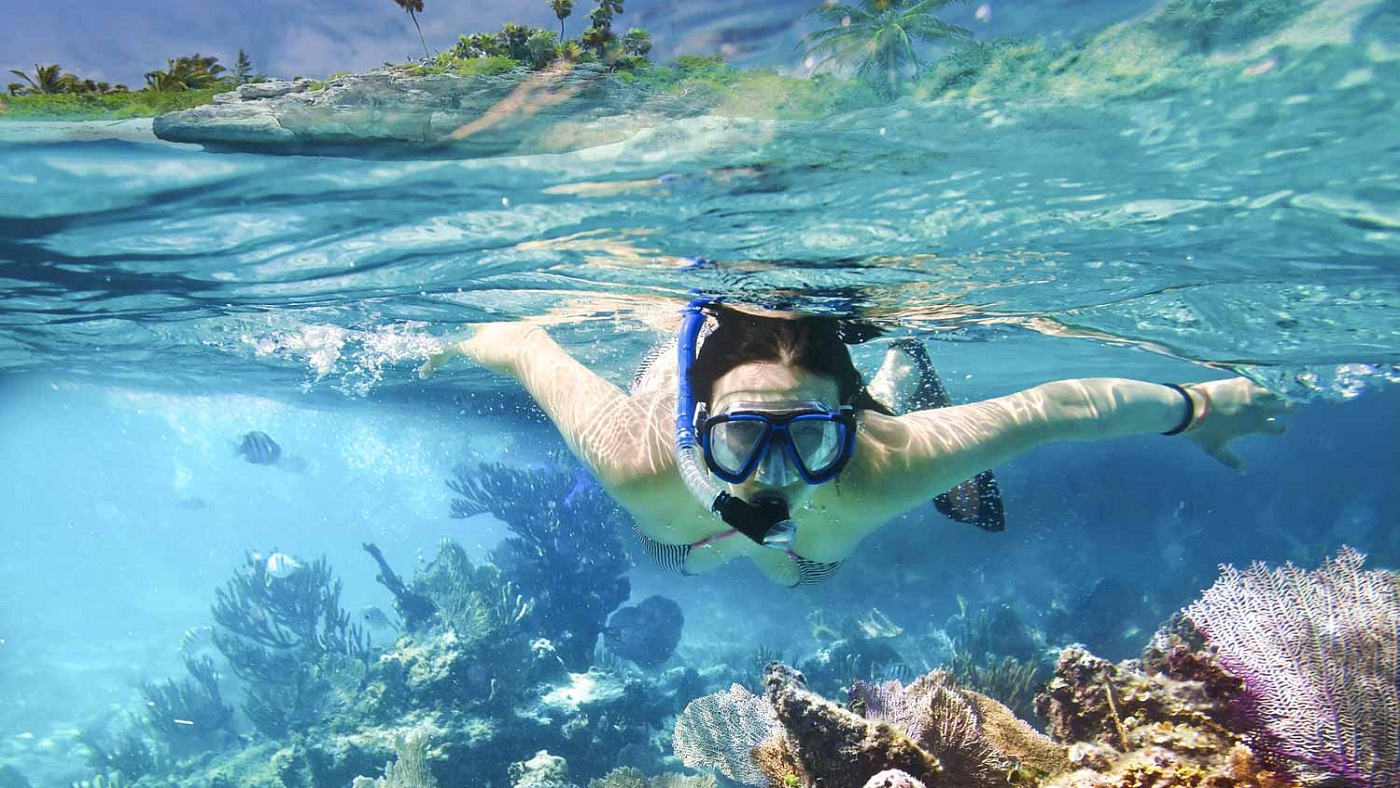 kohsamuisnorkelling.jpg Академия "Таиланд"